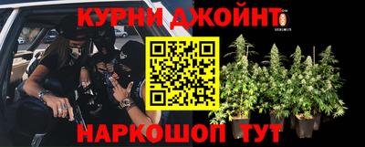 скорость Будённовск