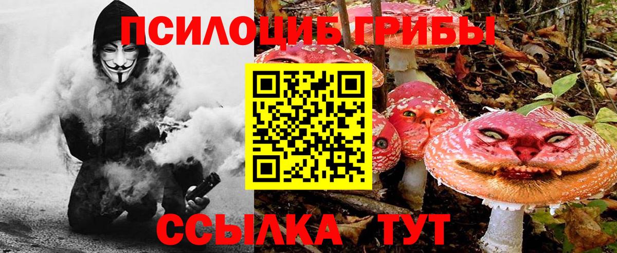Псилоцибиновые грибы MAGIC MUSHROOMS  Псилоцибиновые грибы GOLDEN TEACHER  Рузаевка  Вход с VPN 