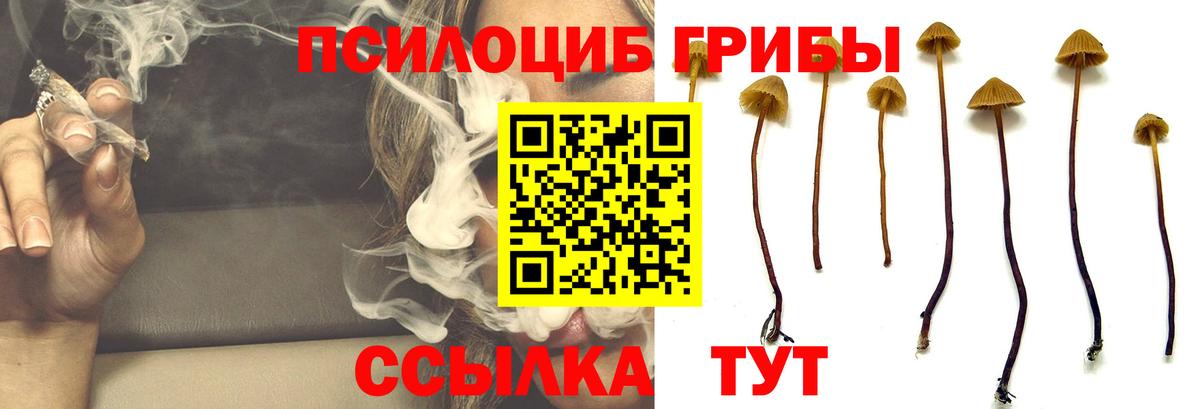 Псилоцибиновые грибы Magic Shrooms Рузаевка